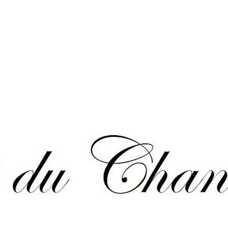 Logis Du Chandelier Le Puy-en-Velay Экстерьер фото