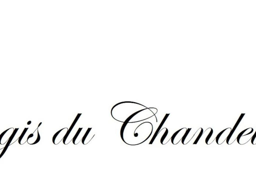 Logis Du Chandelier Le Puy-en-Velay Экстерьер фото